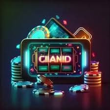 bgd33 com